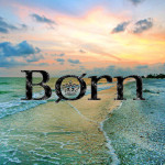 Born Photo Shoot on Sanibel Island: Island Inn