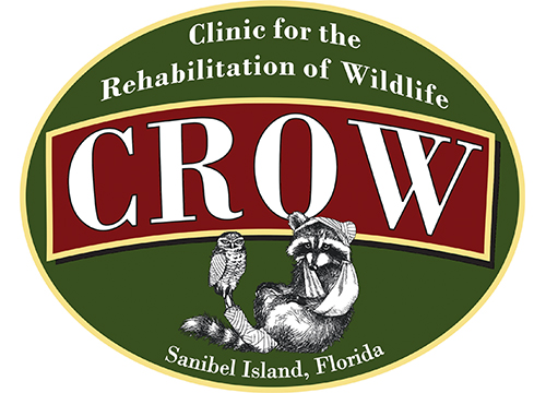 things-to-do-sanibel-island-inn-CROW