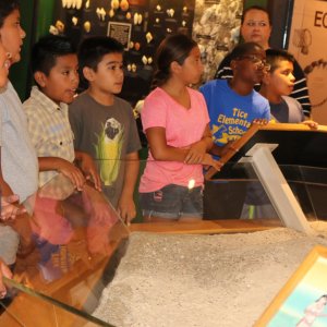 Tice Elementary Adopt A Class