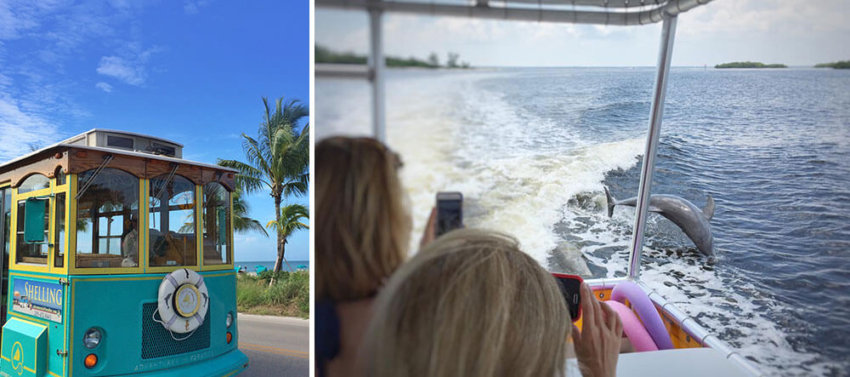 Adventures in Paradise Cruise - SWFL