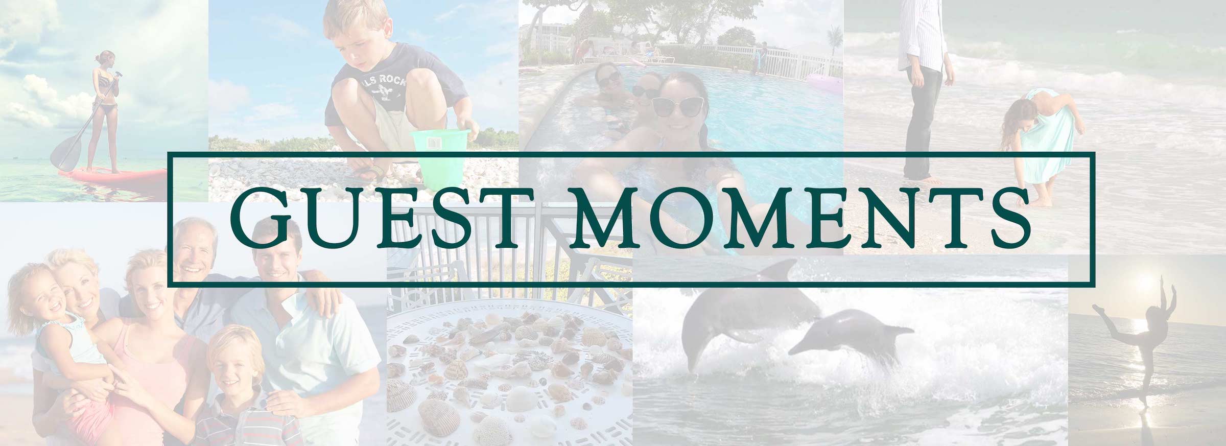 island inn reviews and testimonials