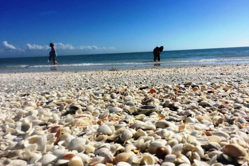 Island Inn's Beach At Sunset Covered In Seashells
