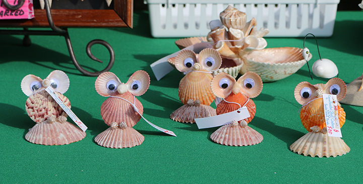 shell festival craft