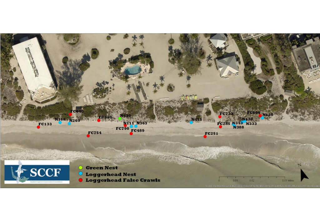 map of turtle nests on island inn beach
