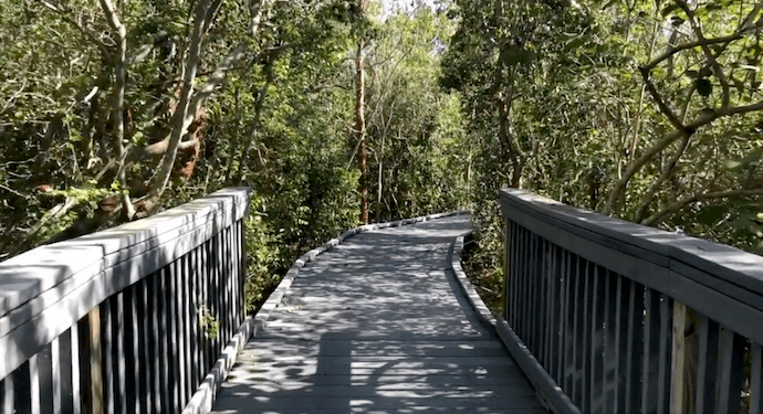 Ding Darling Indigo Trail