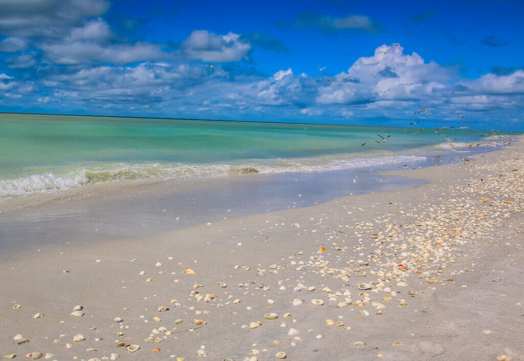 sanibel beach after hurricane ian
